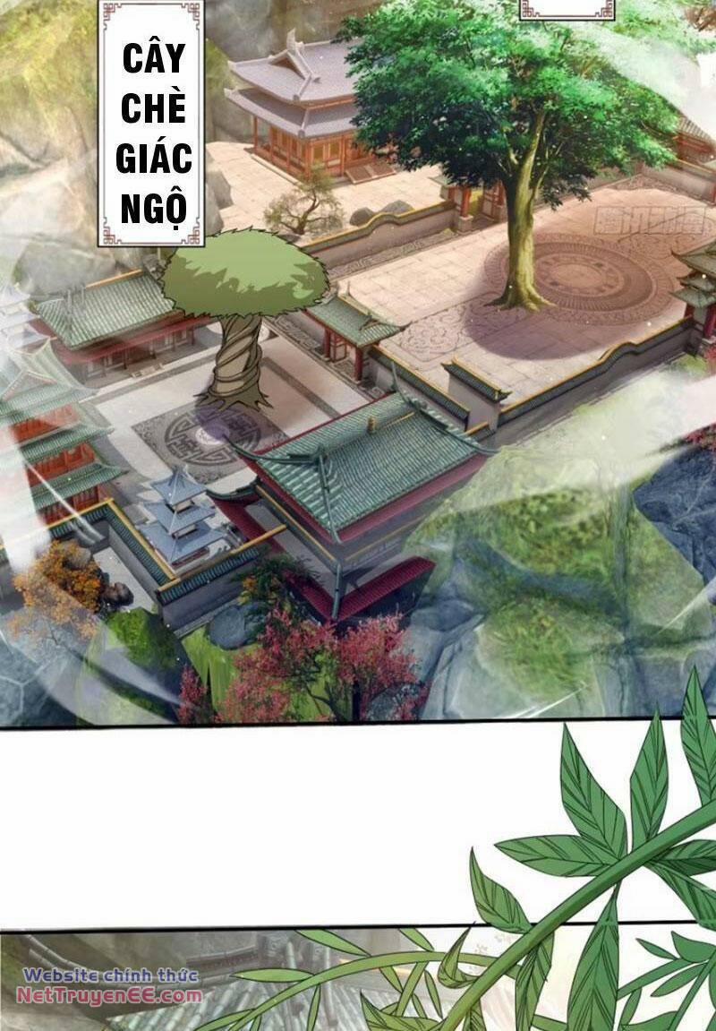 Trăm Tuổi Mở Hệ Thống, Hiếu Tử Hiền Tôn Quỳ Khắp Núi! 18 trang 49