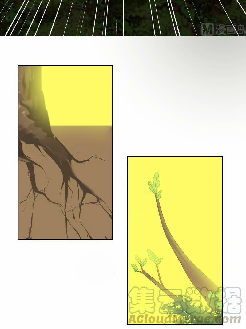 Trên Người Ta Có Một Con Rồng 174 trang 5