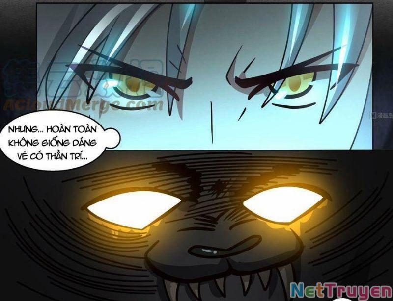 Trên Người Ta Có Một Con Rồng 539 trang 21