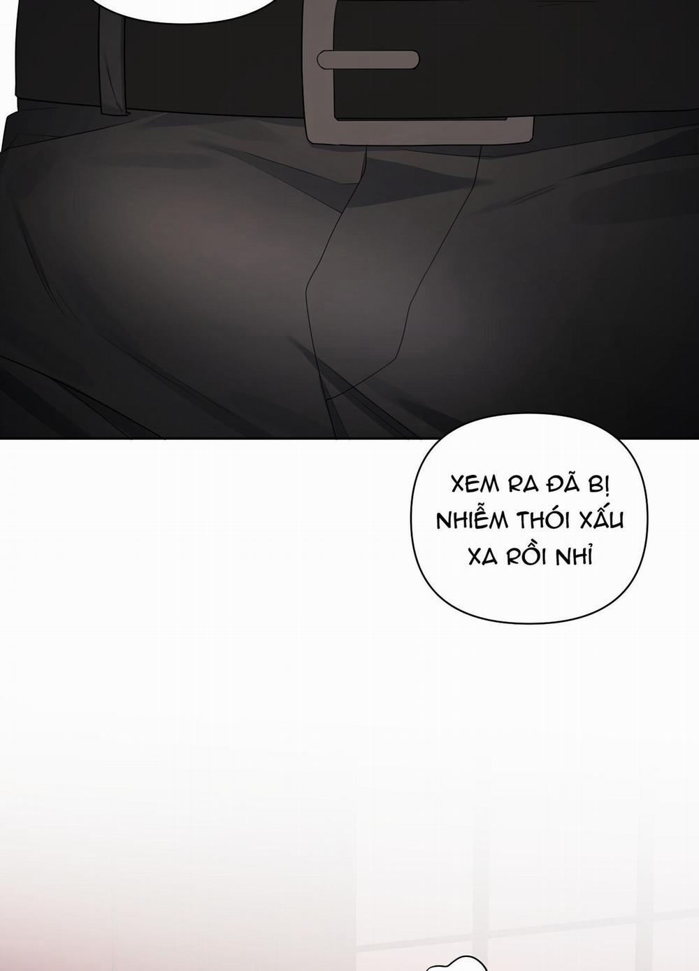 TRỢ GIẢNG ƠI, BỊ LỪA RỒI 8 trang 29