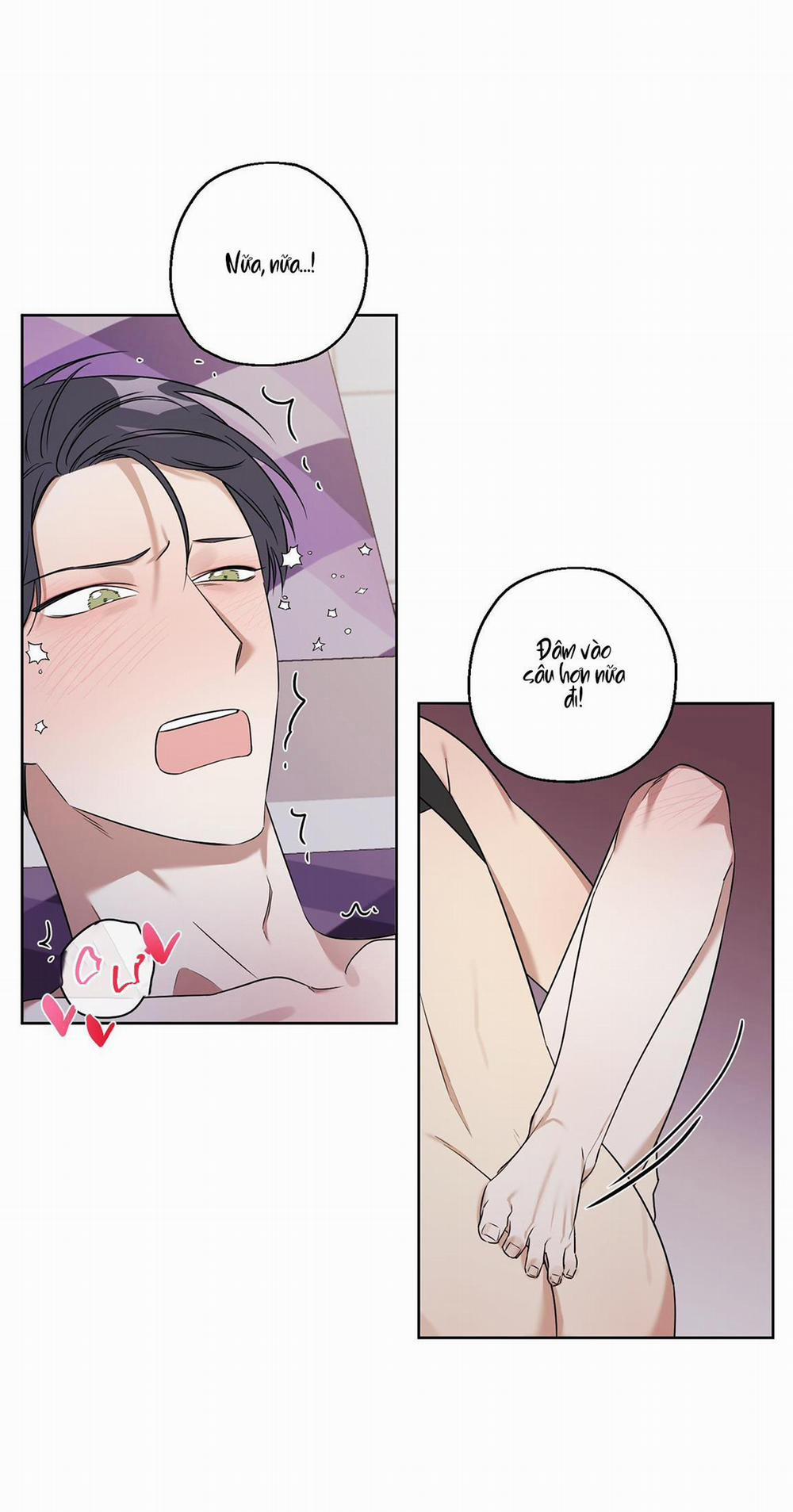 TRỢ GIẢNG ƠI, BỊ LỪA RỒI 9 trang 12