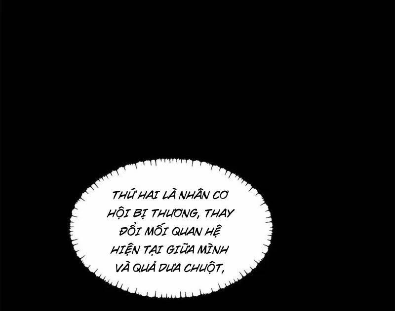 Trọng Sinh Không Làm Chạn Vương, Tôi Một Mình Nạp Game Thăng Cấp 137 trang 49