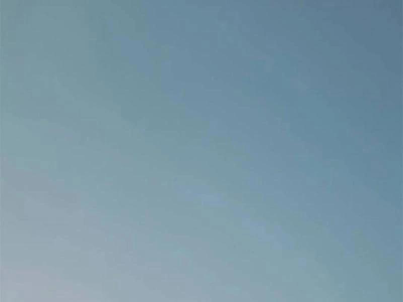 Trọng Sinh Không Làm Chạn Vương, Tôi Một Mình Nạp Game Thăng Cấp 160 trang 75