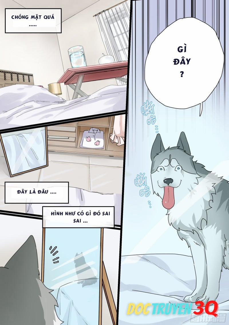 Trọng Sinh Thành Chó Của Nữ Thần 1 trang 2