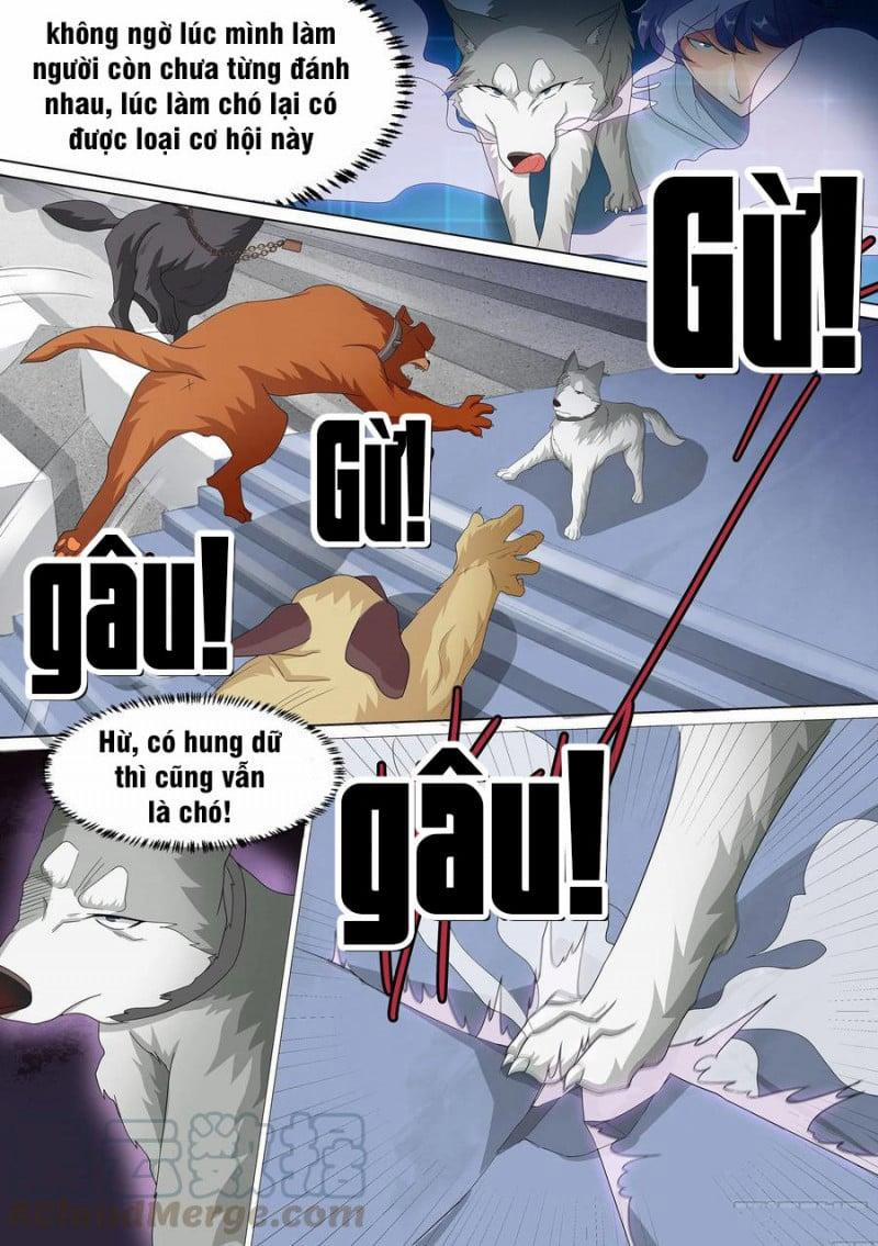 Trọng Sinh Thành Chó Của Nữ Thần 10 trang 1