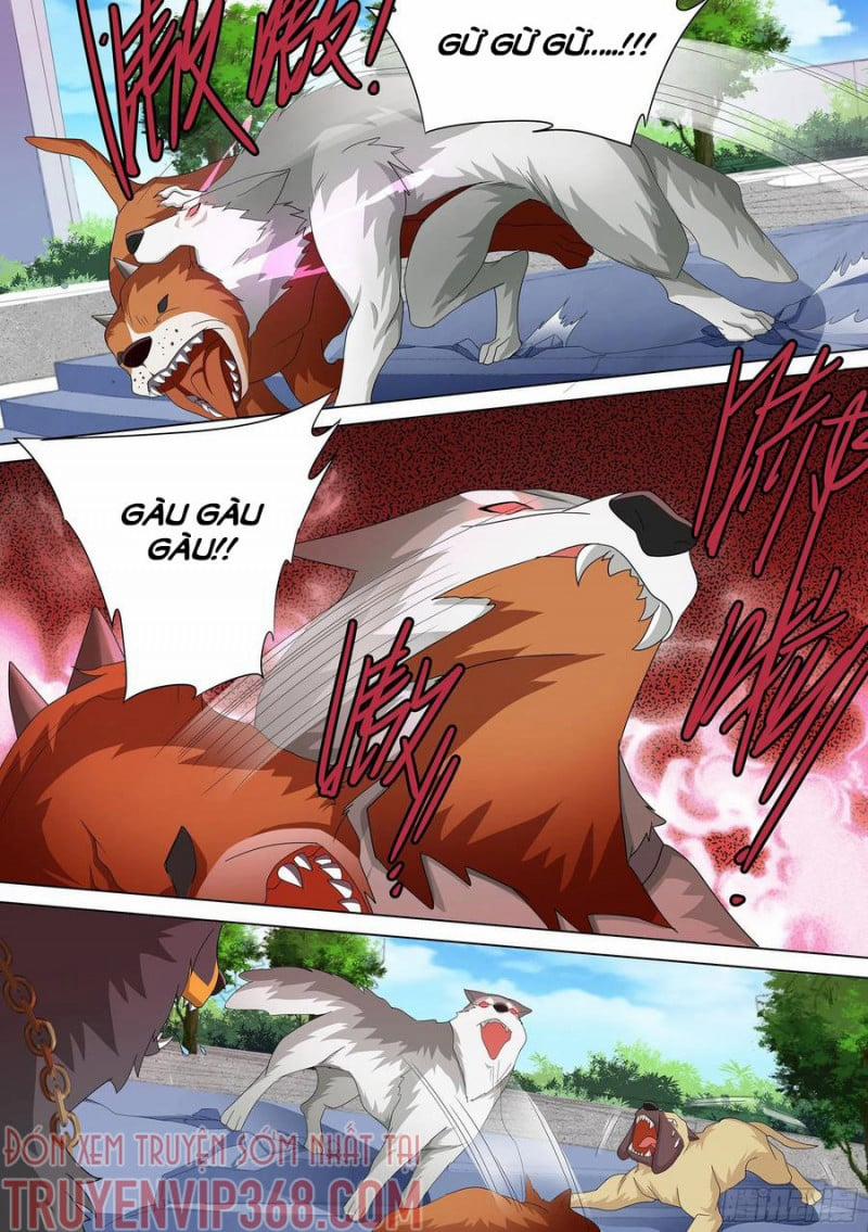 Trọng Sinh Thành Chó Của Nữ Thần 10 trang 2