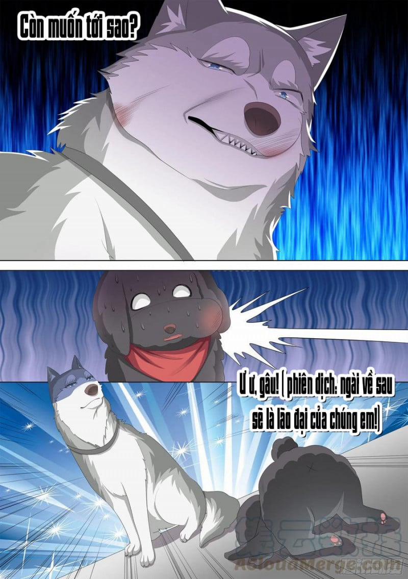 Trọng Sinh Thành Chó Của Nữ Thần 10 trang 5