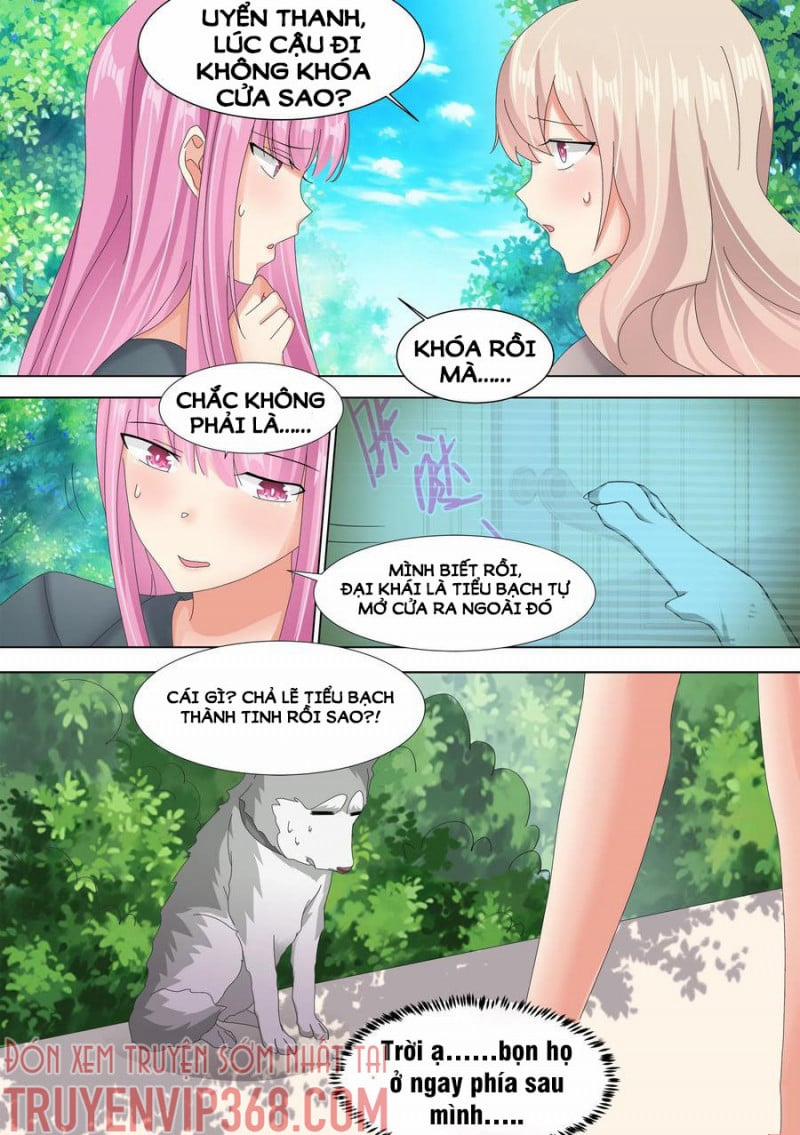 Trọng Sinh Thành Chó Của Nữ Thần 10 trang 8