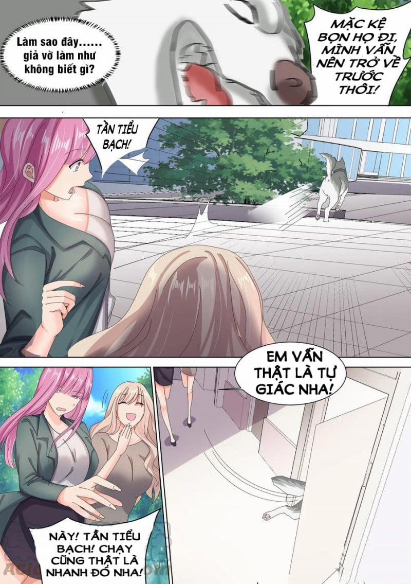 Trọng Sinh Thành Chó Của Nữ Thần 10 trang 9