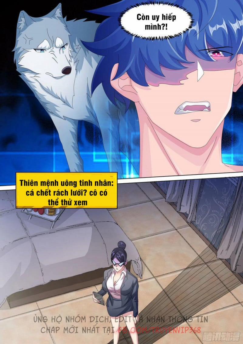 Trọng Sinh Thành Chó Của Nữ Thần 13 trang 8