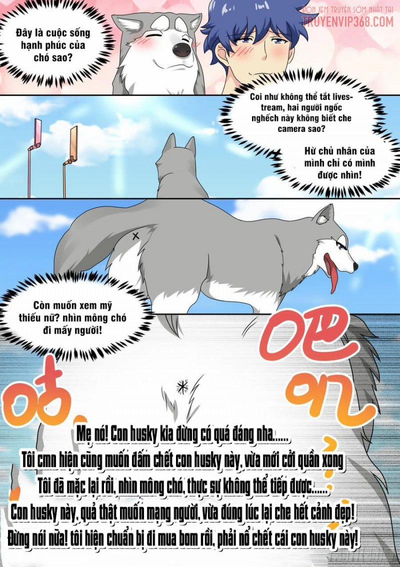 Trọng Sinh Thành Chó Của Nữ Thần 19 trang 12