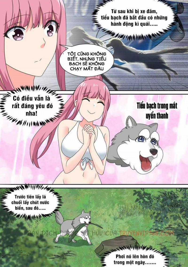 Trọng Sinh Thành Chó Của Nữ Thần 19 trang 14