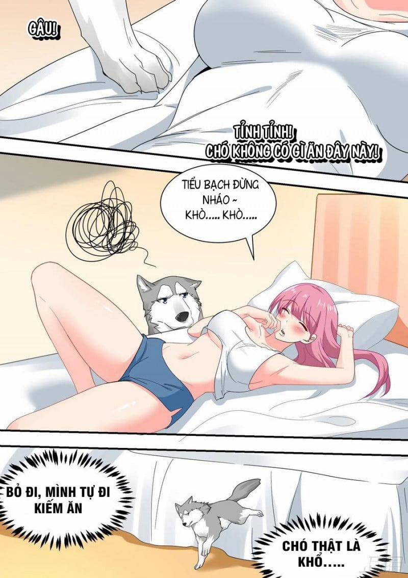 Trọng Sinh Thành Chó Của Nữ Thần 22 trang 5