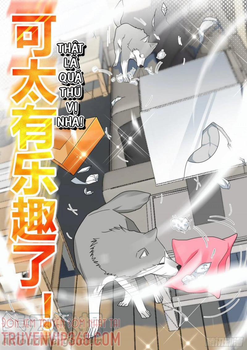 Trọng Sinh Thành Chó Của Nữ Thần 22 trang 8