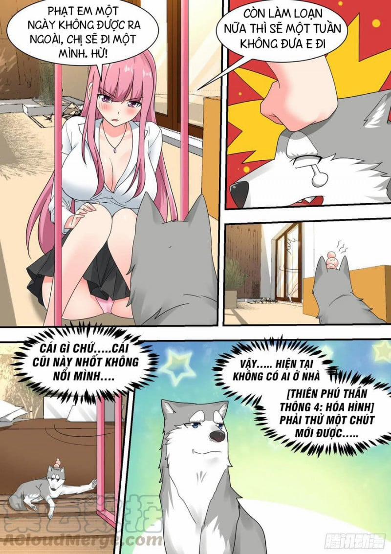 Trọng Sinh Thành Chó Của Nữ Thần 23 trang 2
