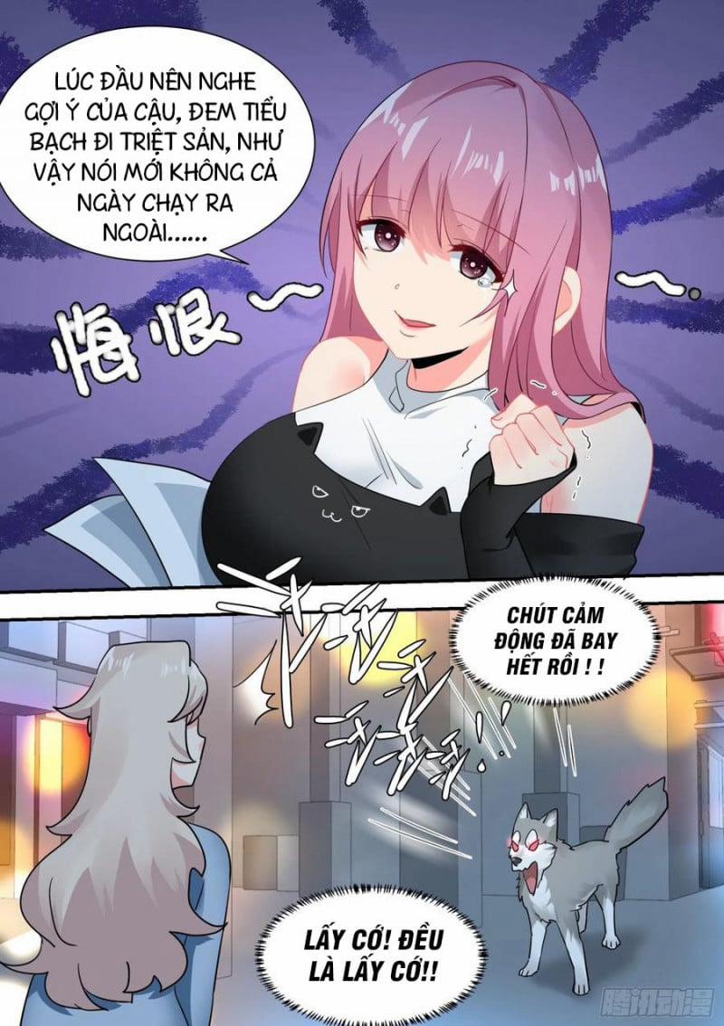 Trọng Sinh Thành Chó Của Nữ Thần 29 trang 3