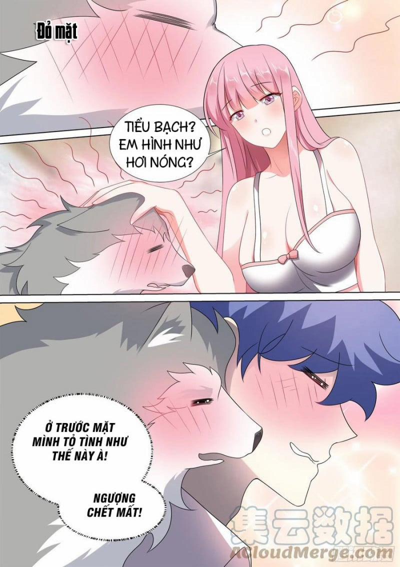 Trọng Sinh Thành Chó Của Nữ Thần 45 trang 8