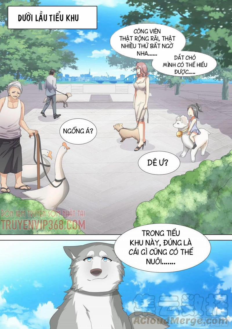 Trọng Sinh Thành Chó Của Nữ Thần 9 trang 12