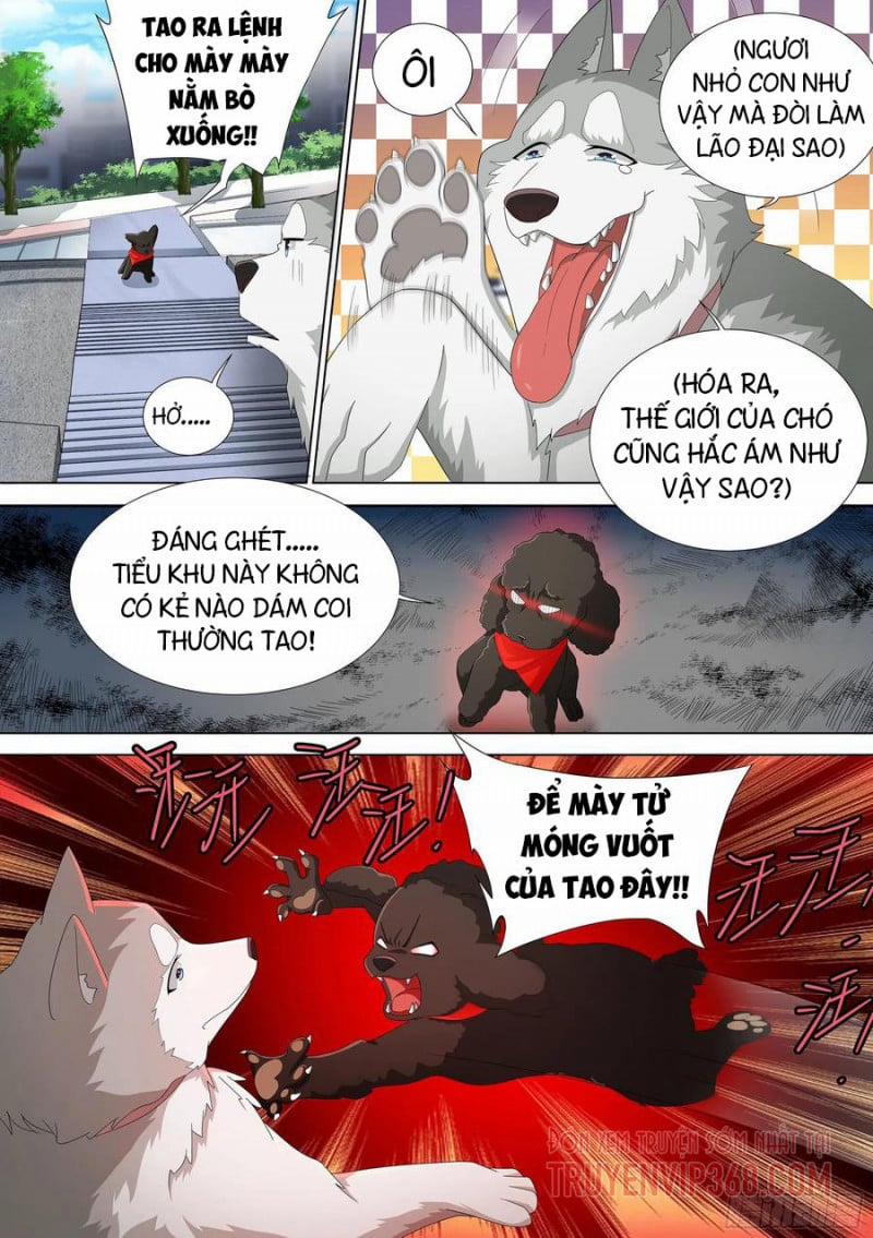 Trọng Sinh Thành Chó Của Nữ Thần 9 trang 15