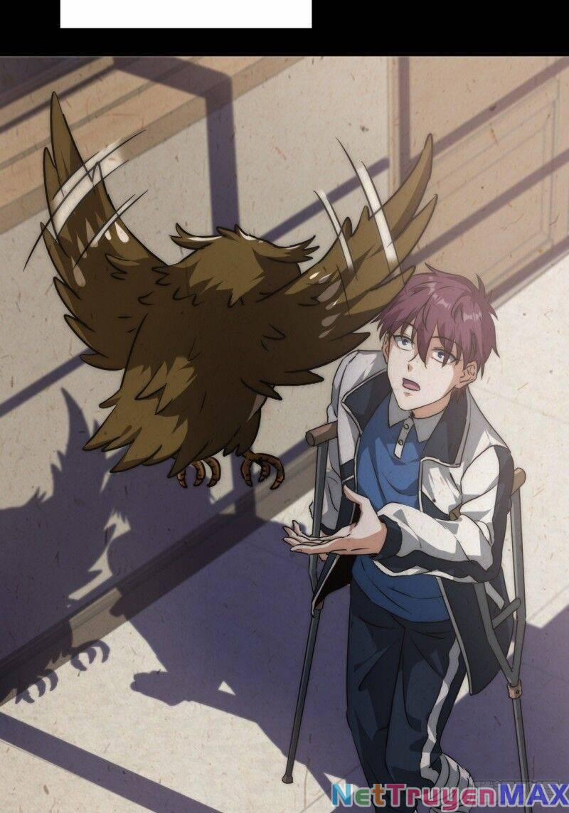 Trùm Phản Diện Muốn Tìm Chết! 1 trang 12