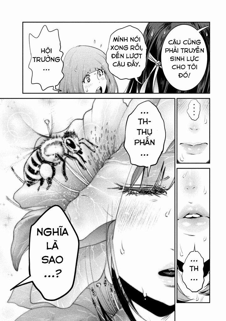 Trường Học Ngục Tù 206 trang 11