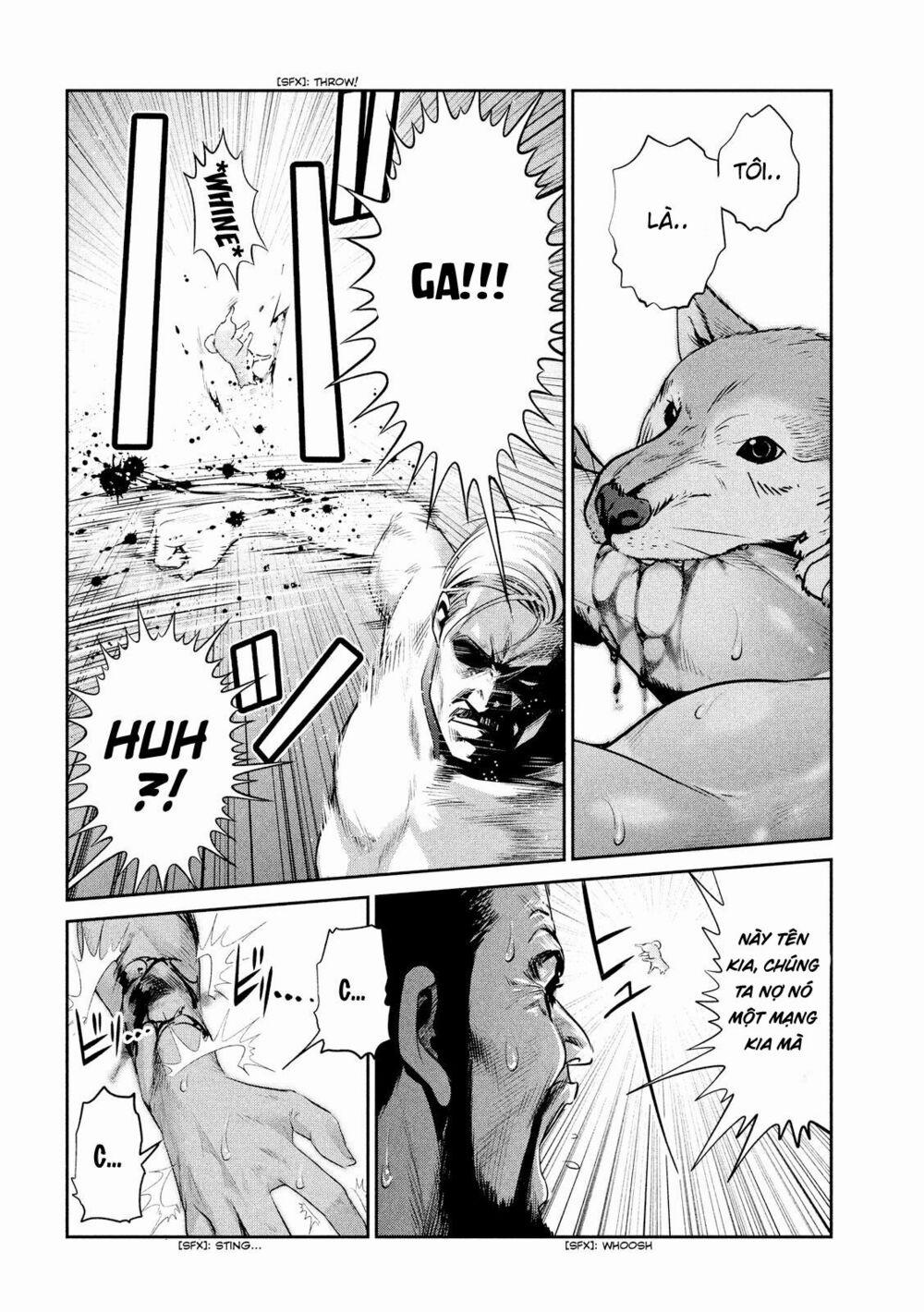 Trường Học Ngục Tù 234 trang 17
