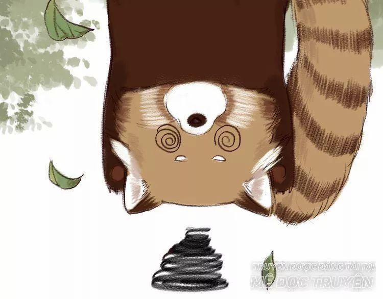 Trường Phong Quyển 5 trang 30