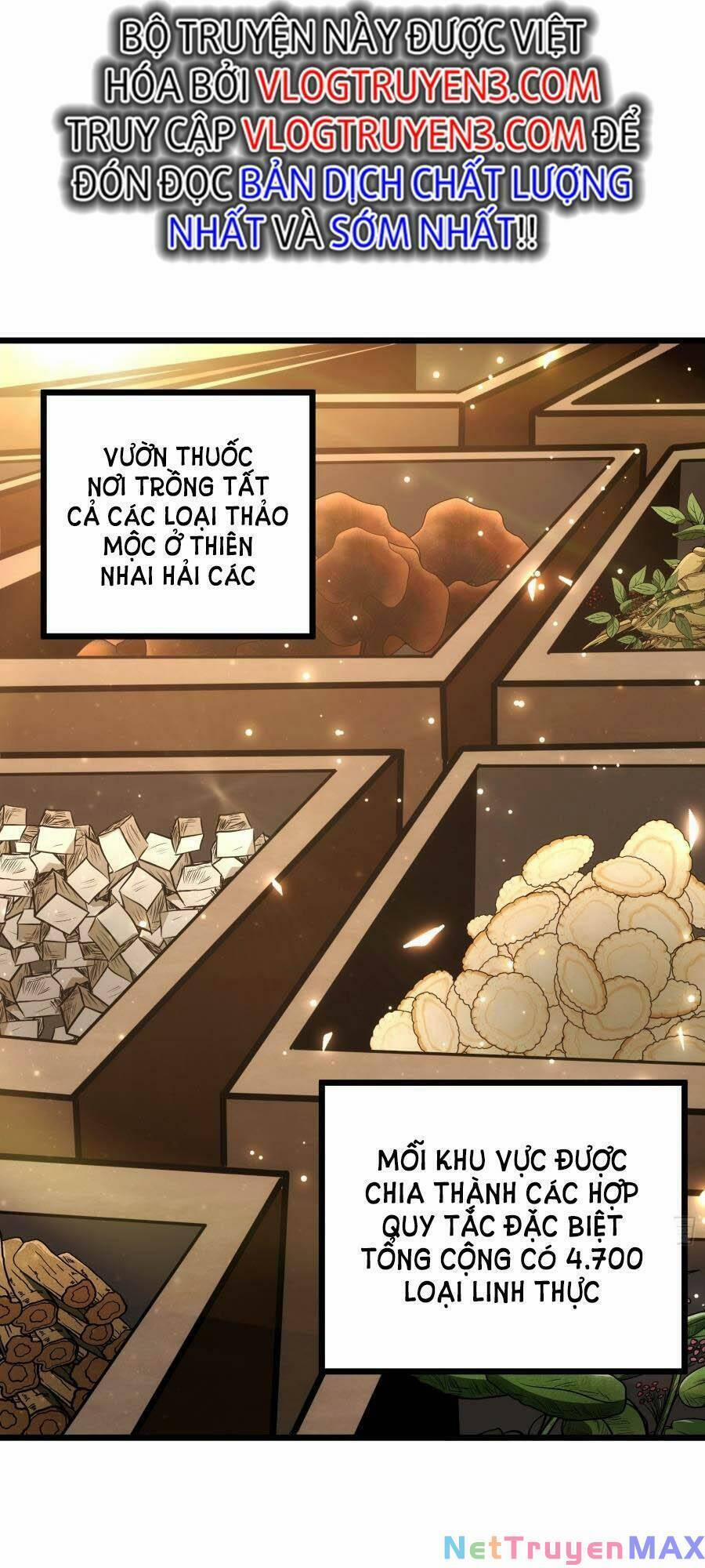 Tự Kỷ Luật Ta Đây Bất Khả Chiến Bại 55 trang 13