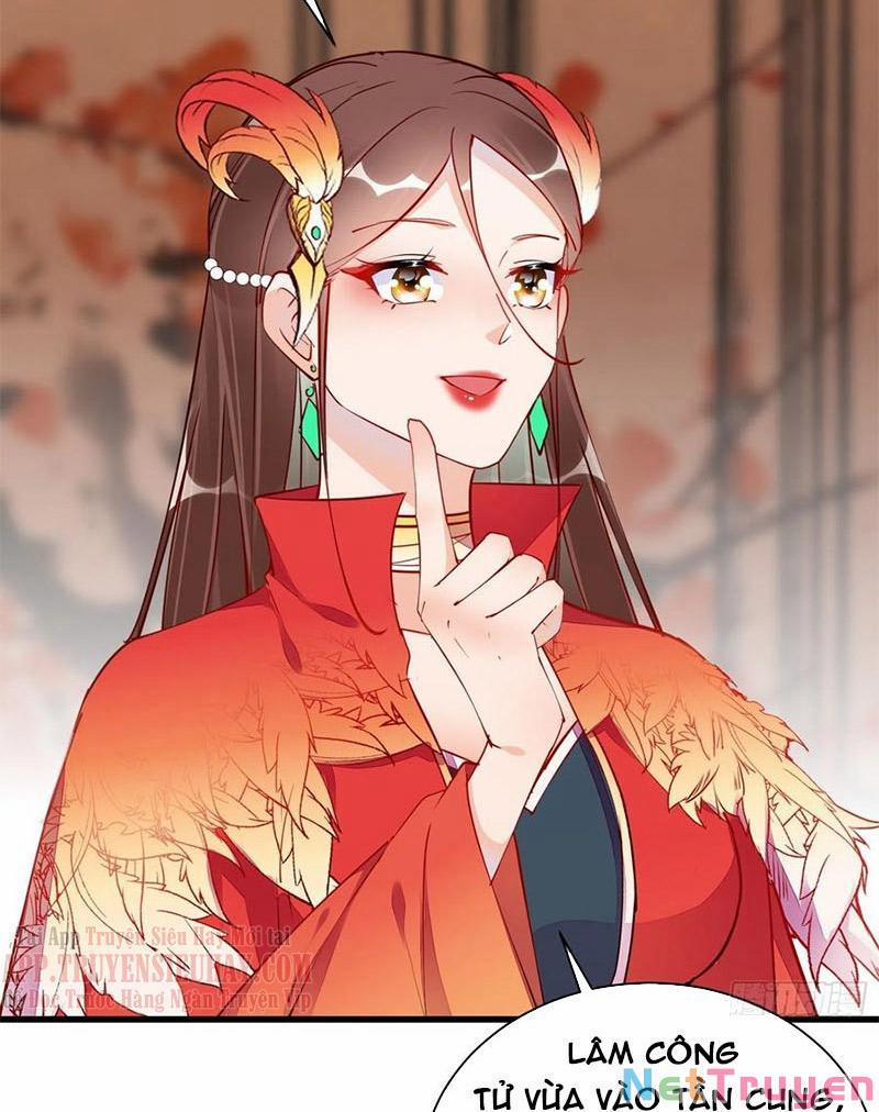 Tu Tiên Phải Dựa Vào Sugar Mommy 156 trang 12