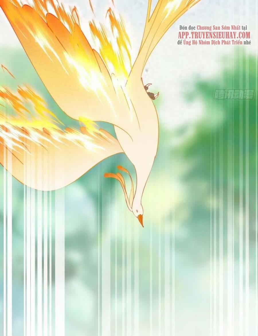 Tu Tiên Phải Dựa Vào Sugar Mommy 173 trang 19