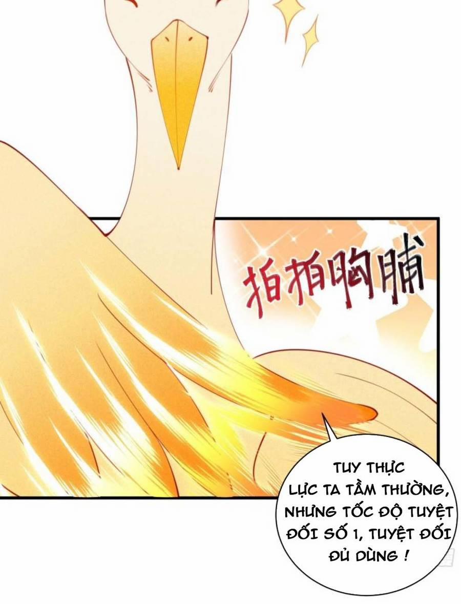 Tu Tiên Phải Dựa Vào Sugar Mommy 174 trang 6