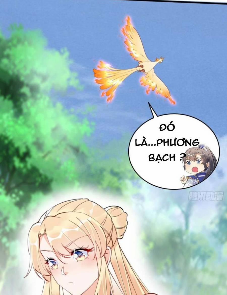 Tu Tiên Phải Dựa Vào Sugar Mommy 175 trang 2