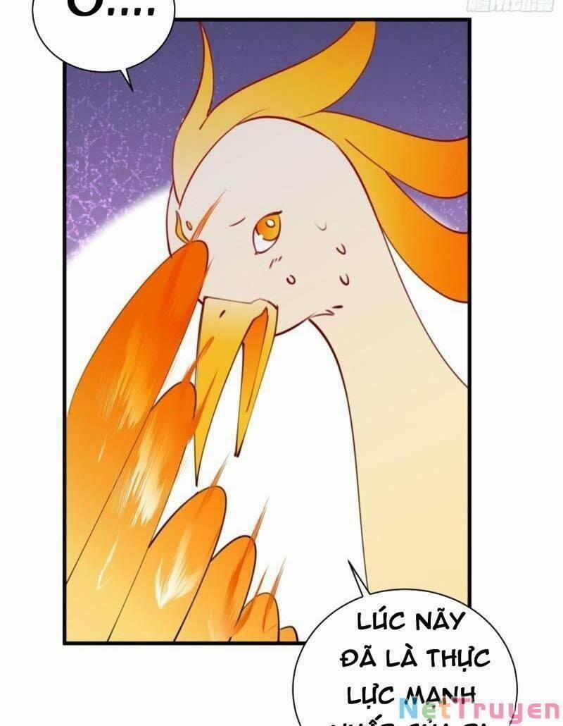 Tu Tiên Phải Dựa Vào Sugar Mommy 177 trang 7