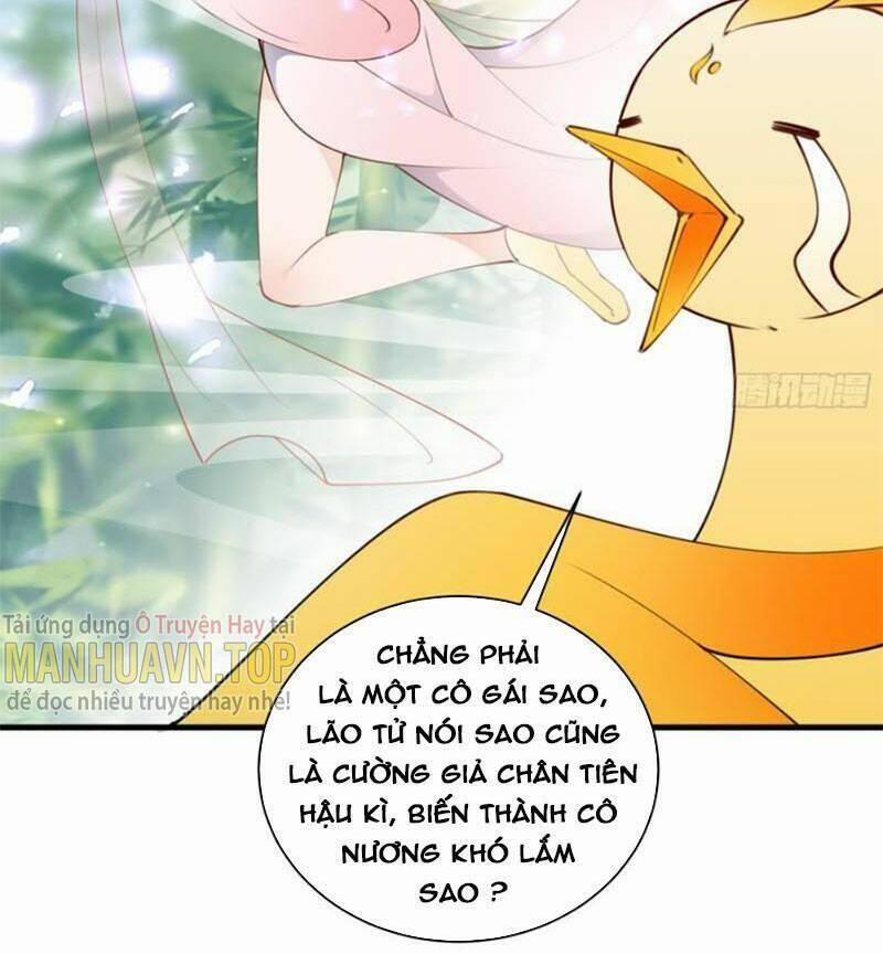 Tu Tiên Phải Dựa Vào Sugar Mommy 183 trang 13