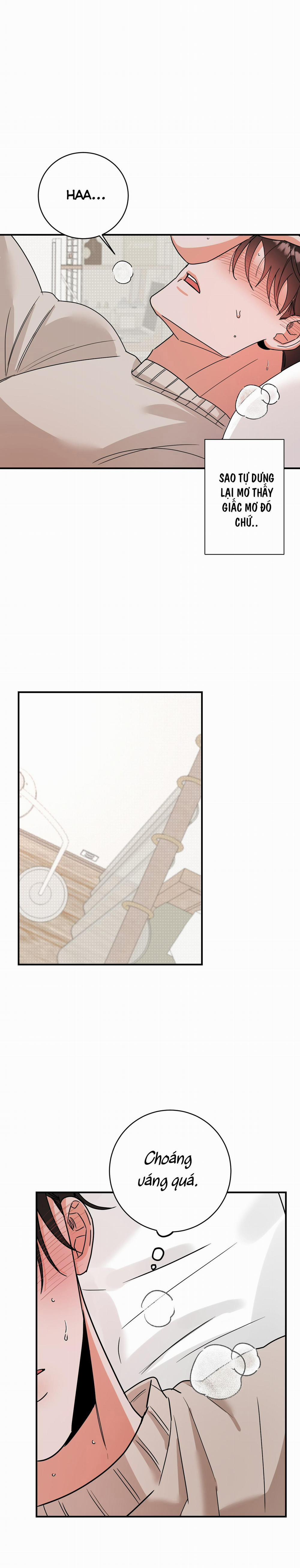 TURN OVER 5 trang 23