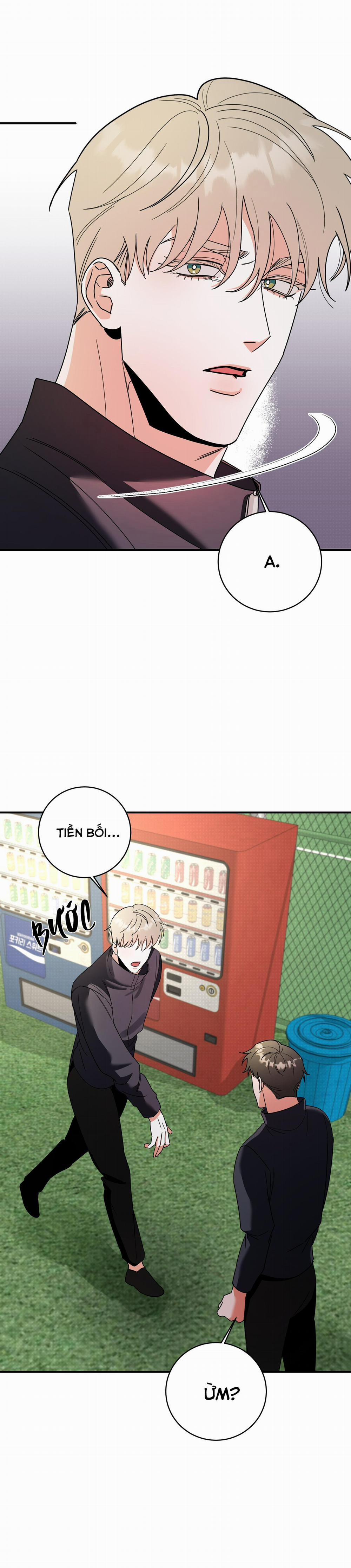 TURN OVER 5 trang 31