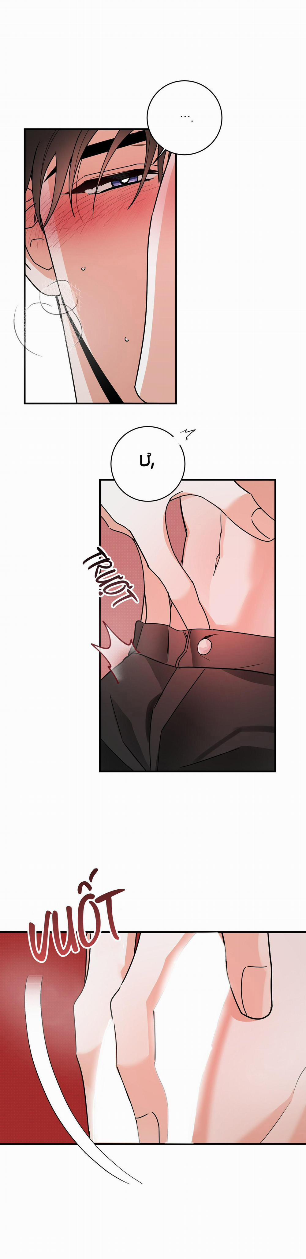 TURN OVER 7 trang 14