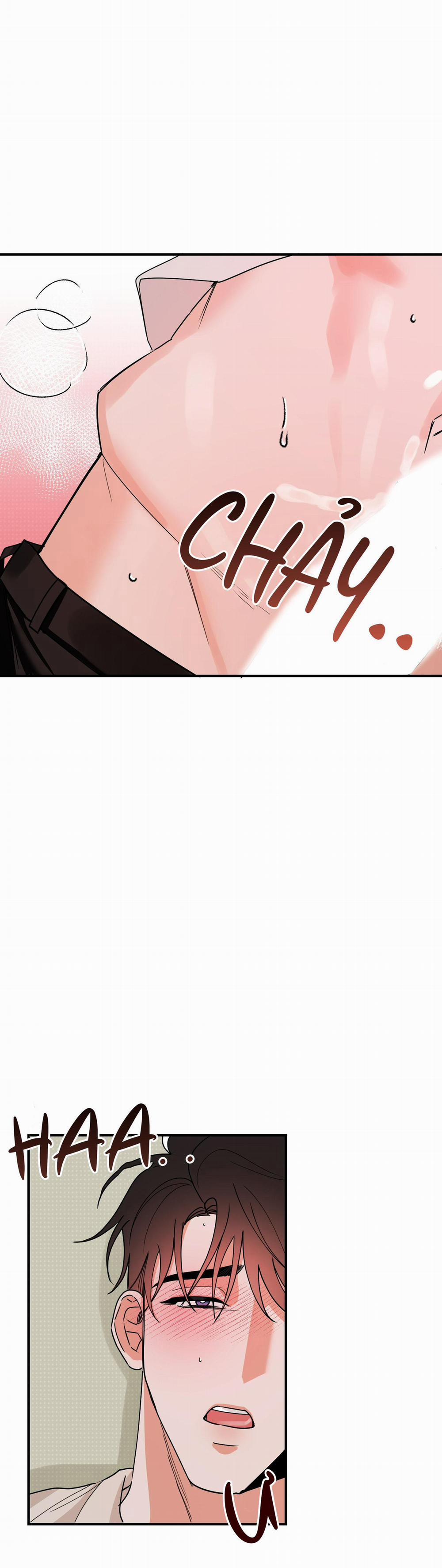 TURN OVER 7 trang 23