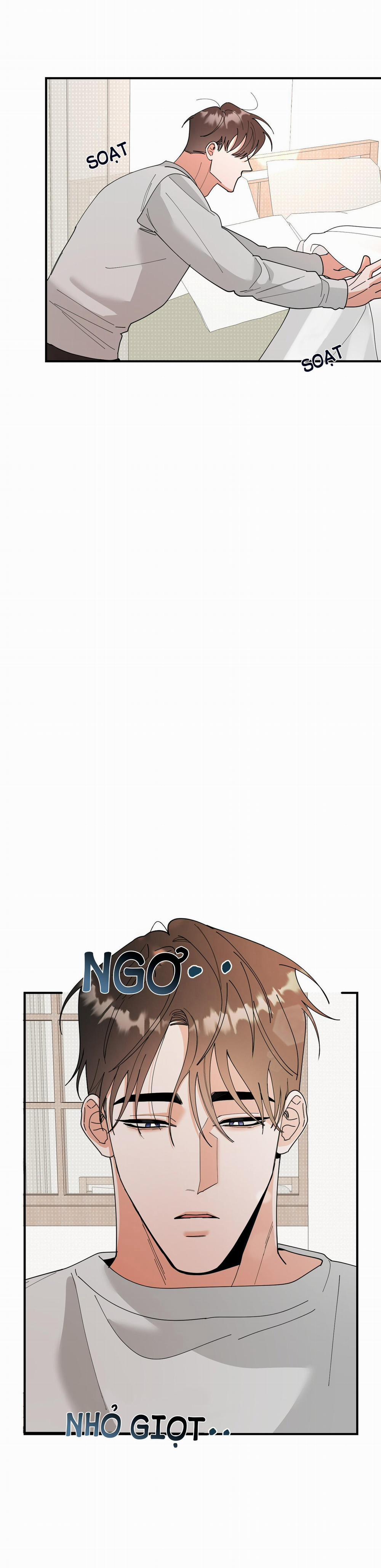 TURN OVER 8 trang 22