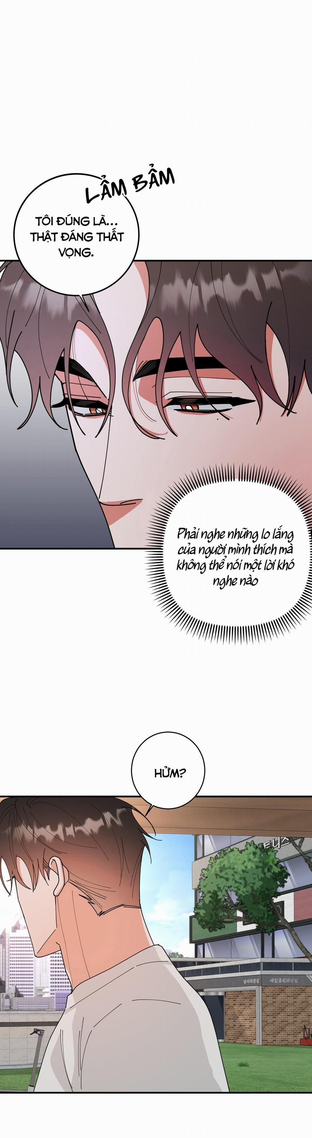 TURN OVER 9 trang 13