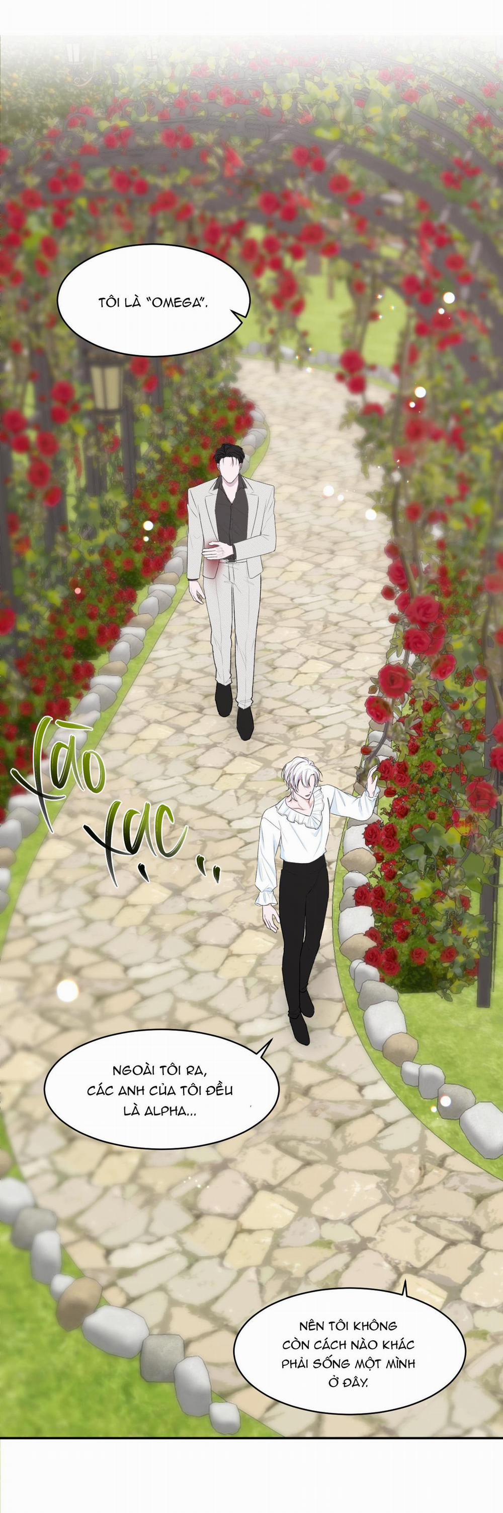 Tuyển Tập Abo - Mang Thai Ngắn Của Nhà Sẹc 46 CÔN ĐỒ ALPHA 1 trang 33