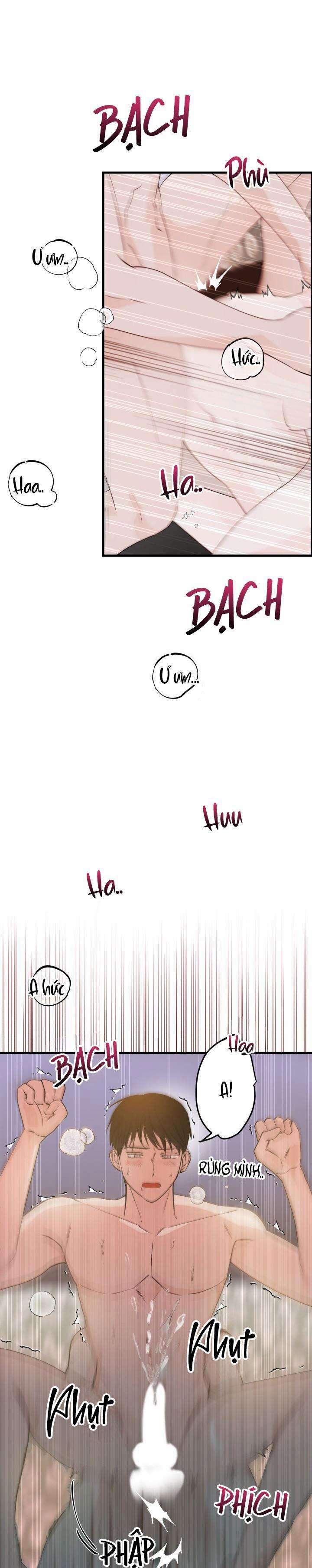 TUYỂN TẬP NHẤT THỤ ĐA CÔNG CỦA NHÀ KIM 0.0 HOẠ TIẾT HOÀN HẢO 1 trang 5