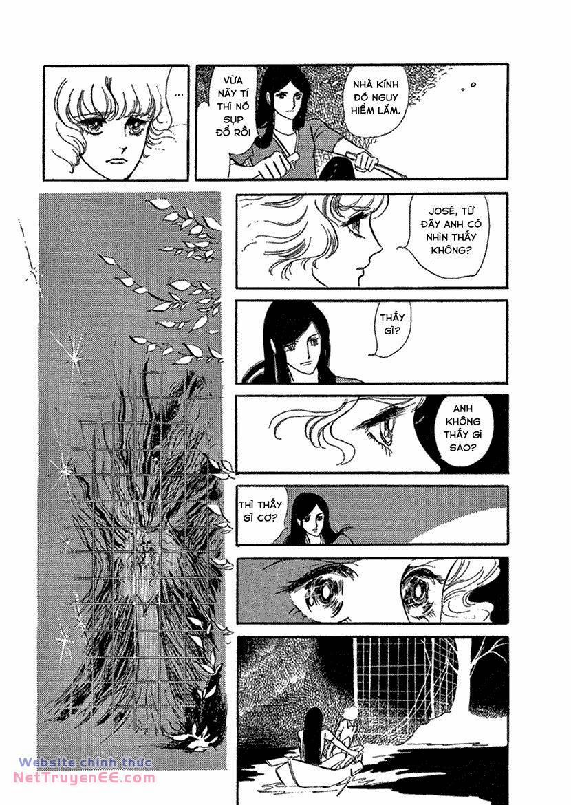 Tuyển Tập Truyện Ngắn Của Hagio Moto 14 trang 12