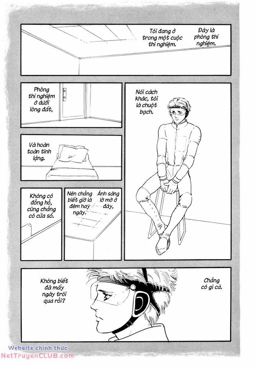 Tuyển Tập Truyện Ngắn Của Hagio Moto 3 trang 1