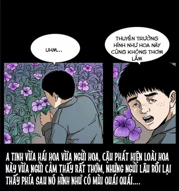 U Minh Ngụy Tượng 239 trang 42