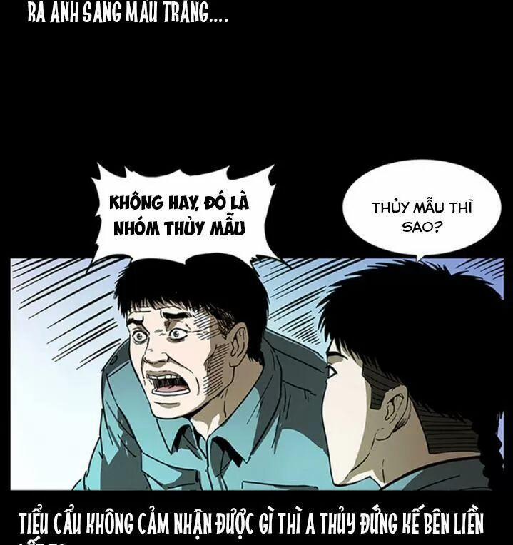 U Minh Ngụy Tượng 243 trang 15