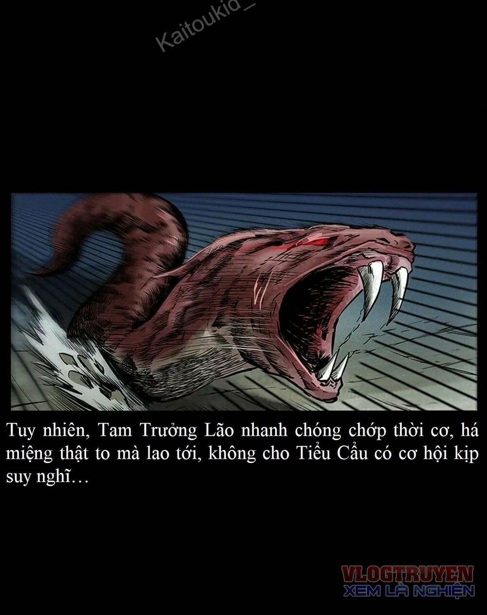 U Minh Ngụy Tượng 291 trang 43