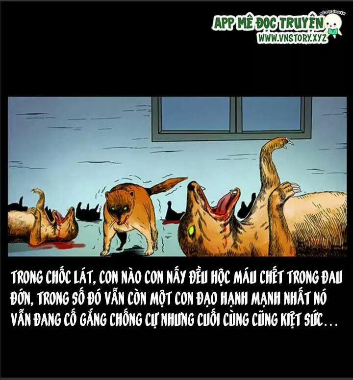 U Minh Ngụy Tượng 66 trang 43