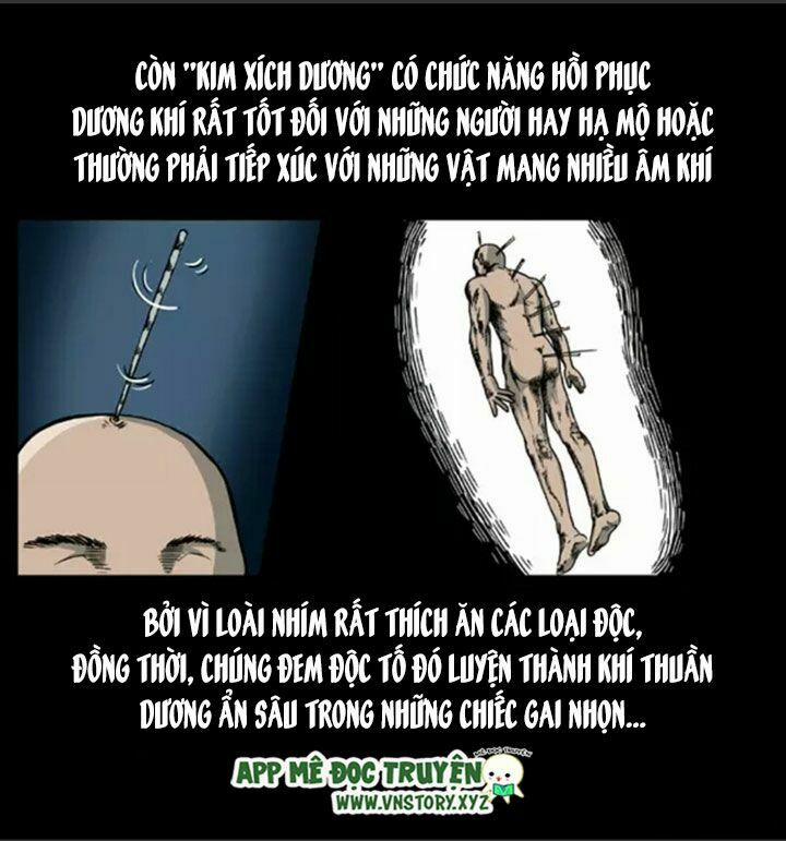 U Minh Ngụy Tượng 9 trang 52