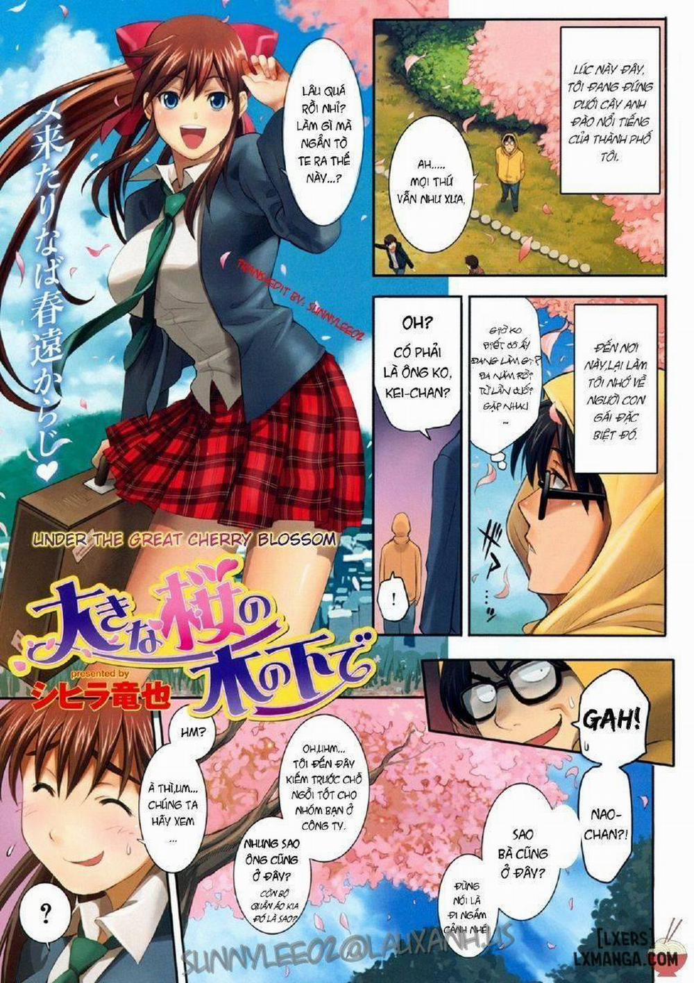 Under the Great Cherry Blossom Oneshot trang 0